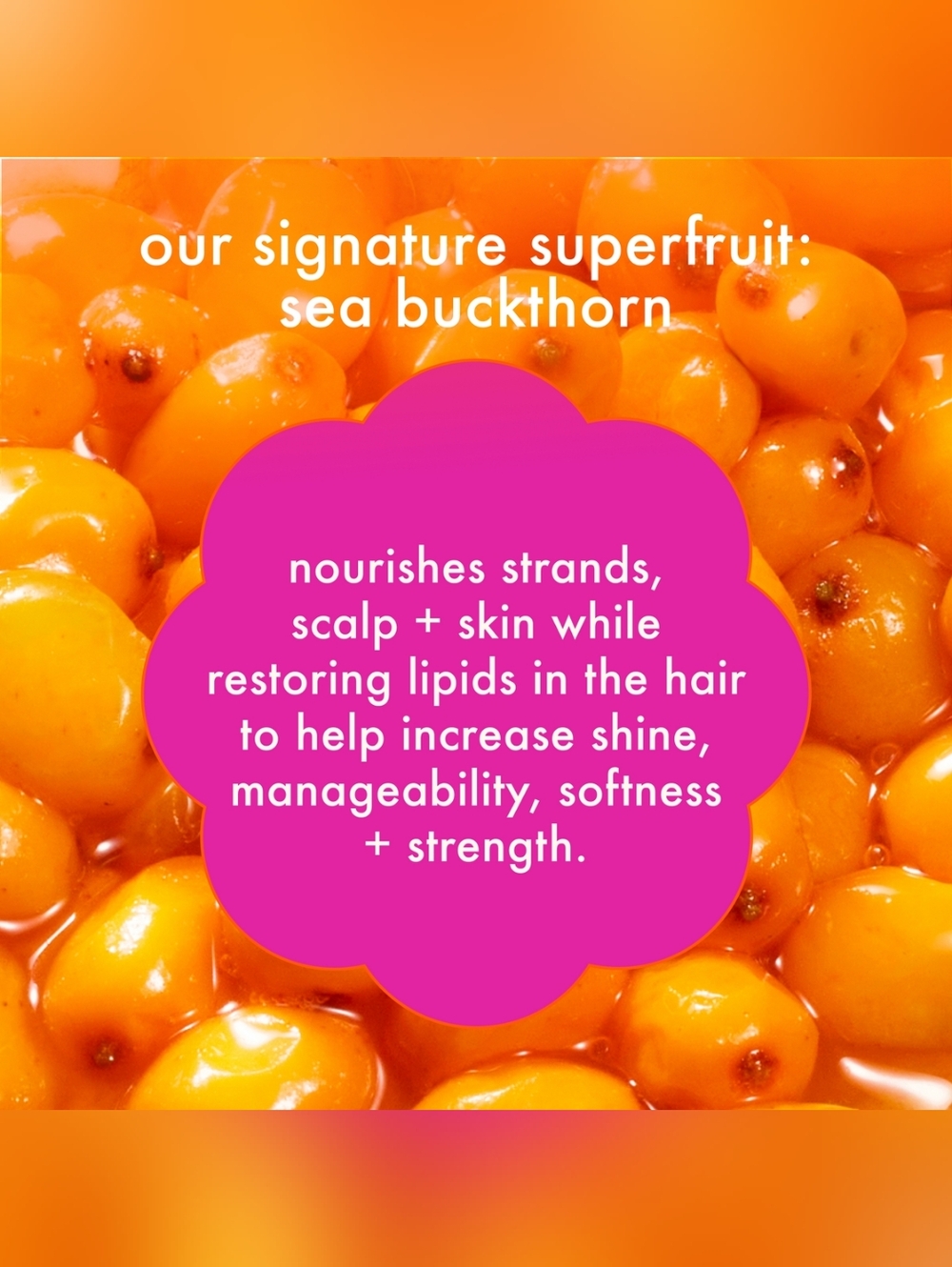 amika The Kure Strength Repair Shampoo 275 ml 🆕 - Picture 5 of 11